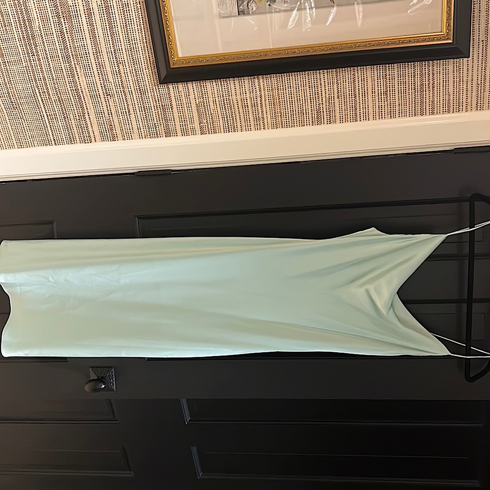 Alice and Olivia Mint Slip Dress (tags on)